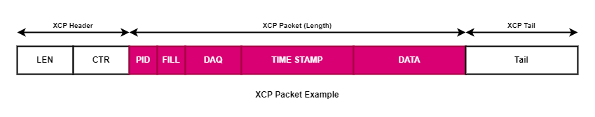 XCP 패킷 기본 구조