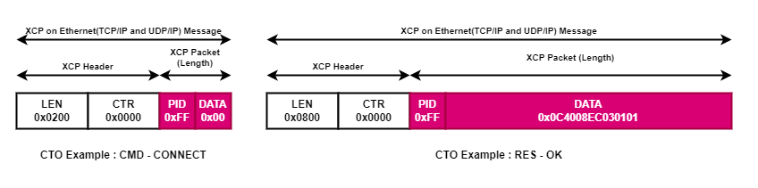 XCP DTO 패킷 구조 예